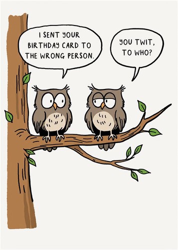 Funny birthday card - card, owls