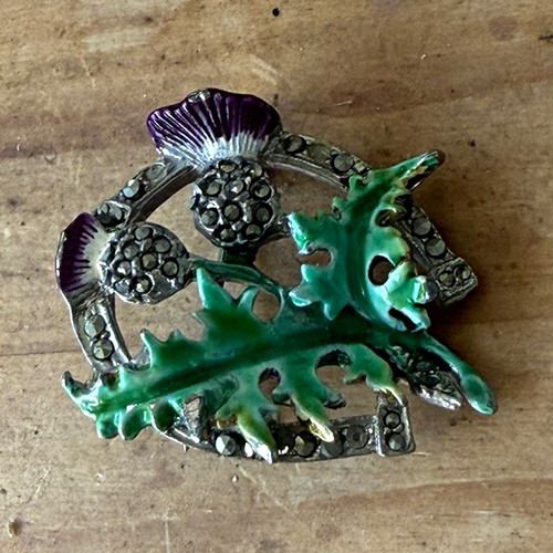 Vintage scottish thistle - vintage,