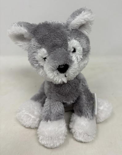 Keel pippin grey - husky, puppy