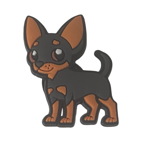 Miniature pinscher min - pinscher, pin