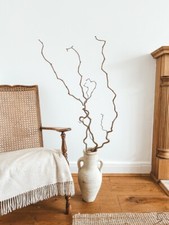 Twisted Hazel Branch Corylus