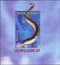 Sierra Leone 2004 Lamprey/Fish/Animals/Marine/Nature/Wildlife 1v m/s (b9092t)