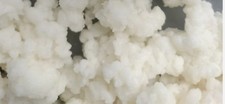 20g milk kefir grains - tibetan grains