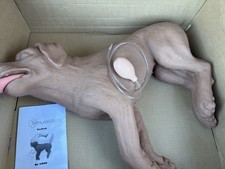 Casper CPR Training Manikin