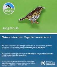 RSPB Pin Badge NIIC Song Thrush P03131