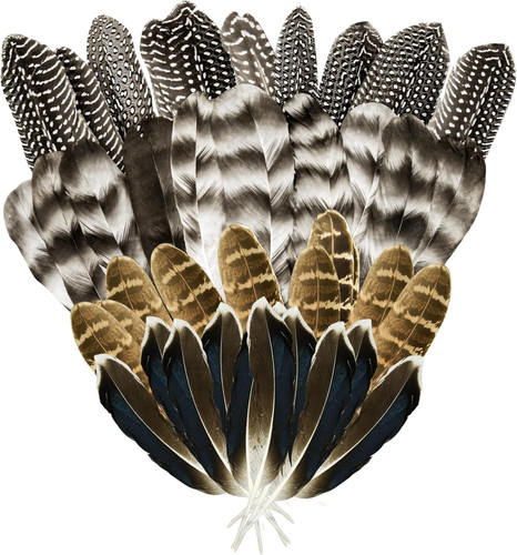 40pcs turkey feathers - 40pcs, for