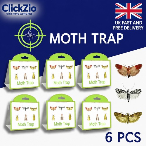 Pheromone moth traps - pheromone,