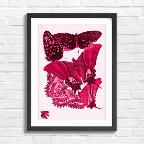 Vintage botanical butterfly - vintage,