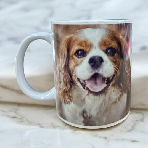 11oz king charles - king,