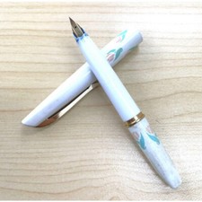 PLATINUM Fountain Pen Pocket 14K Fine Nib