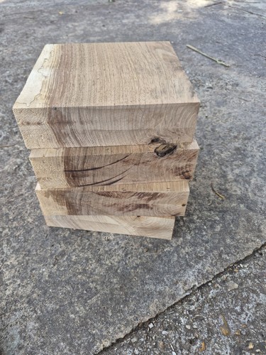 Set english walnut - set,