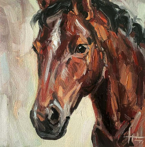 Horse original oil painting - oil,