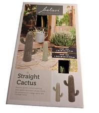 Belavi Cactus Garden