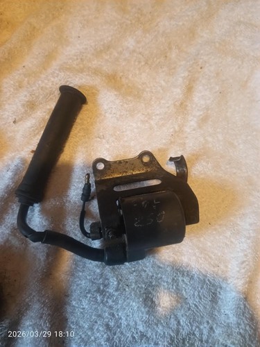 Honda cbf 250 - honda, coil