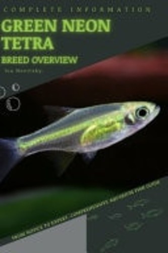 Green neon tetra - neon, from