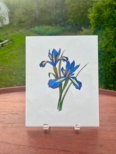 Vtg Porcelanosa MONKER Iris