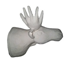 Paper Mache Style Moose Head