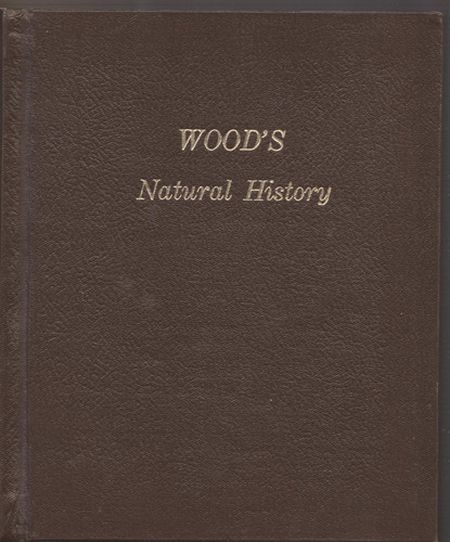 Wood illustrated natural - wood's,