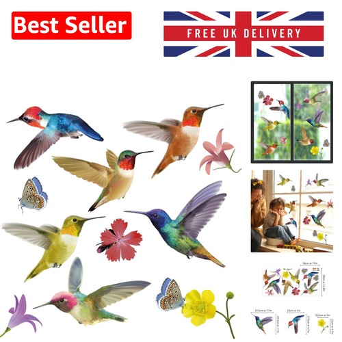 Elegant hummingbird window - elegant,