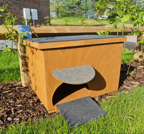 Tortoise mansion house - tortoise, –