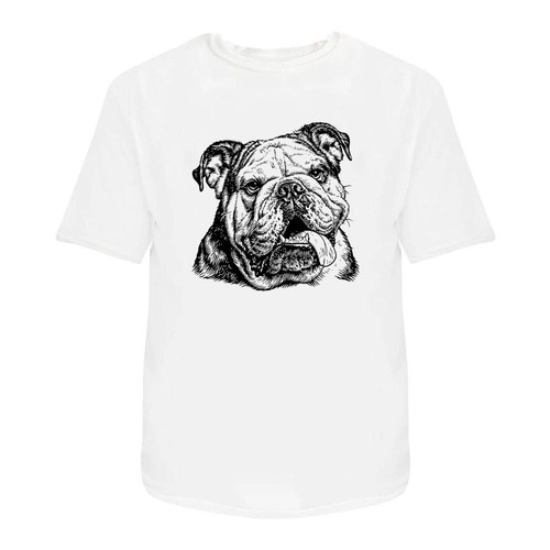 English bulldog portrait - bulldog, portrait'