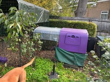 Omlet eglu cube with electric door 