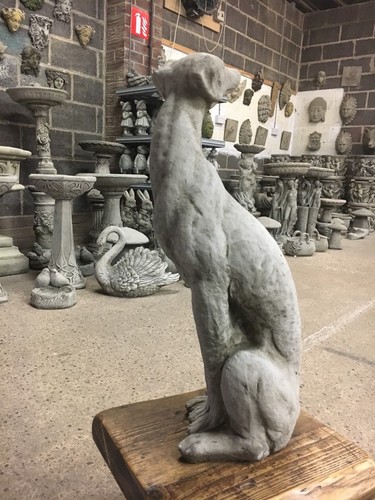 Greyhounds whippet dogs - (new),
