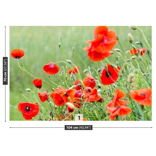 Photo wallpaper wall - photo,