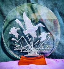 acrylic plastic etched Duck