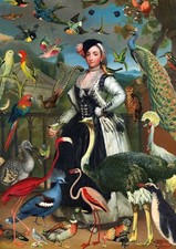 Exotic Birds - Art Blank