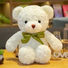 Rose Teddy Bear Valentines Day