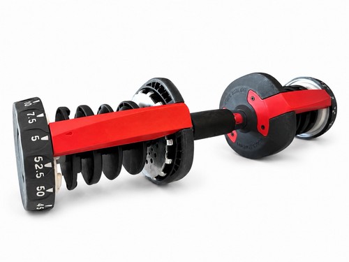 Dumbbell handle - ✅,