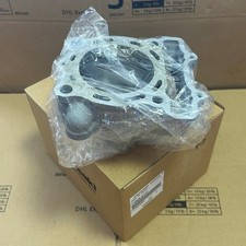 Kawasaki Genuine 2021-2023