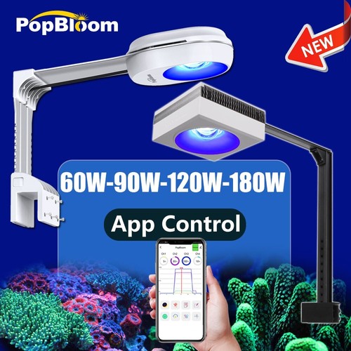Popbloom aquarium fish tank - popbloom,