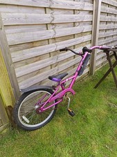 tag a long bicycle