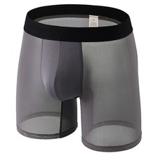 Men Thin Sheer Mesh Long Leg