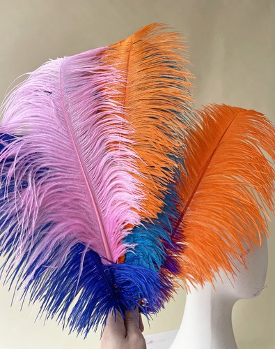Fluffy ostrich feather - ostrich, wedding