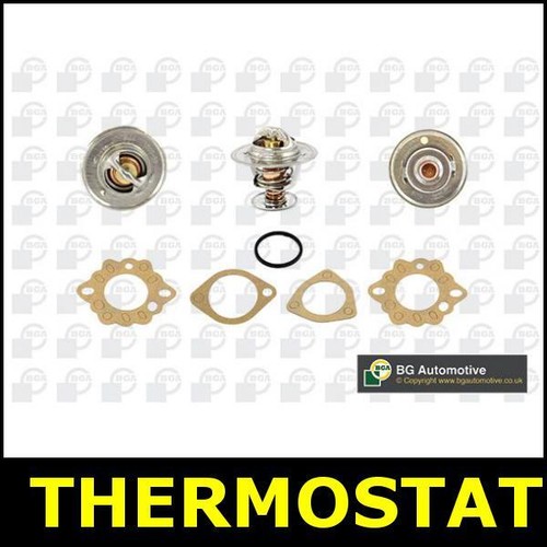 Thermostat fits nissan terrano - fits,
