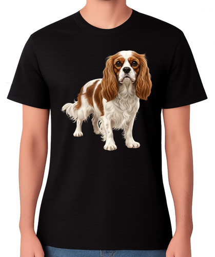 Cavalier king charles spaniel - cavalier,