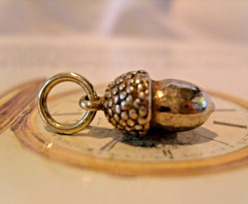 Pocket watch chain fob acorn - watch,