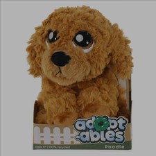 Adoptables Beagle (Poodle) –