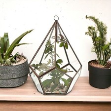 Glass Terrarium - Large