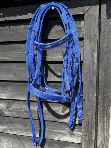 Blue webbed shetland - webbed, pony