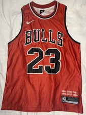 NBA Official Chicago Bulls 23 Jordan Red Mesh Vest Jersey Nike Size L Mens Gift