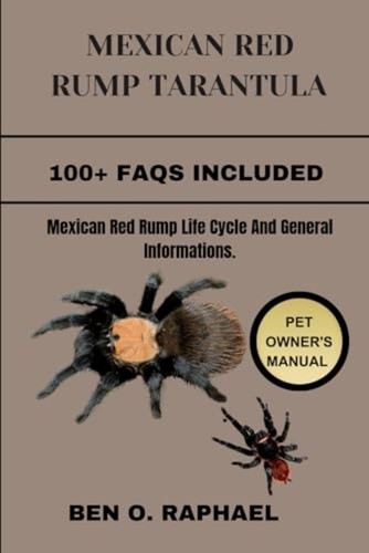 Mexican red rump - red,
