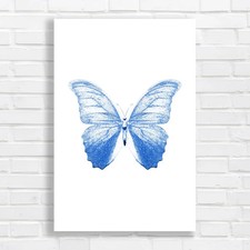Enchanting Butterfly Nature