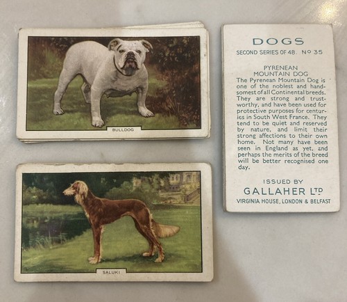 1938 gallaher dogs series - series, 2