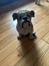 Realistic bulldog female - bulldog,