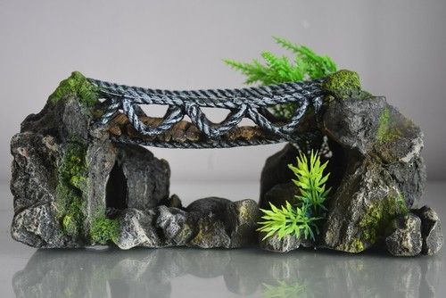 Aquarium stunning large - aquarium,