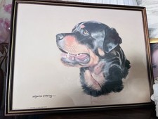 print of a Rottweiler by the British artist Pollyanna Pickering